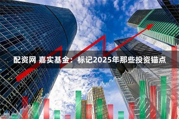 配资网 嘉实基金:标记2025年那些投资锚点