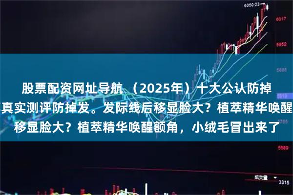股票配资网址导航 （2025年）十大公认防掉发精华液，精华液推荐真实测评防掉发。发际线后移显脸大？植萃精华唤醒额角，小绒毛冒出来了