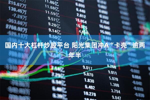 国内十大杠杆炒股平台 阳光集团冲A“卡壳”逾两年半