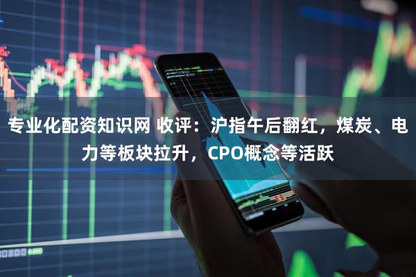 专业化配资知识网 收评：沪指午后翻红，煤炭、电力等板块拉升，CPO概念等活跃